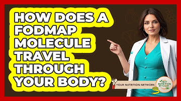How Does A FODMAP Molecule Travel Through Your Body? - Your Nutrition Network