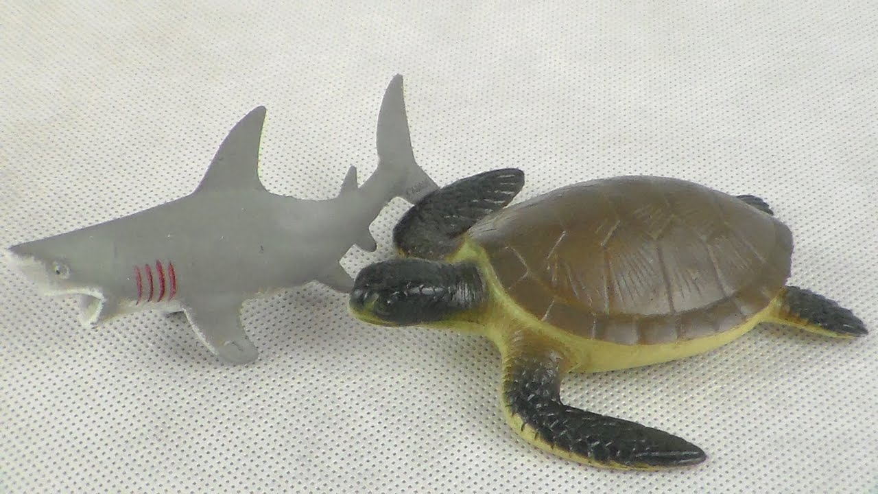 Багажник turtle shark