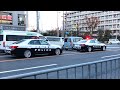 信号待ちで突然【キレるパトカー】