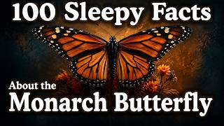 100 Sleepy Facts About The Wandering Monarch Butterfly — Fall Asleep To Nature 🦋 — No Adverts