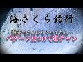 【海サクラ】漁港でのんびりサクラマスを掛ける動画