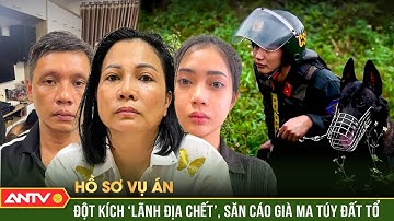 Hồ sơ vụ án: ‘Dụ rắn rời hang’, trinh sát đánh ‘dập đầu’ bà trùm ma túy đất Tổ | ANTV