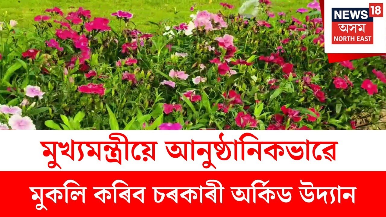 Kaziranga Orchid Park : মুখ্যমন্ত্ৰীয়ে আনুষ্ঠানিকভাৱে মুকলি কৰিব চৰকাৰী অৰ্কিড উদ্য়ান | N18V