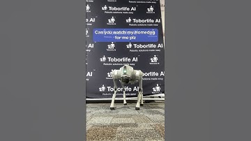 Can you watch my dog for a sec? #robotdog #unitree #robot #robots #robotics