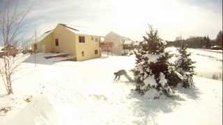 Backyard Edit 2012
