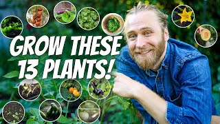 13 Edible Plants You Need to Grow by Nextdoor Homestead 5,070 views 11 months ago 8 minutes, 54 seconds
