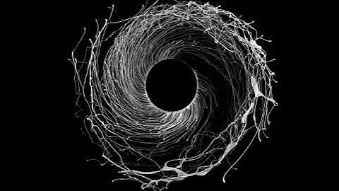 Dawn of Midi - Dysnomia (Full Album)