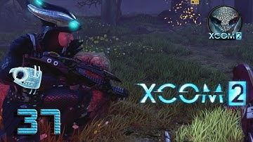 XCOM 2 #37 Ein Satz mit X | Let