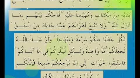 القران الكريم سورة المائدة الأية 48.wmv