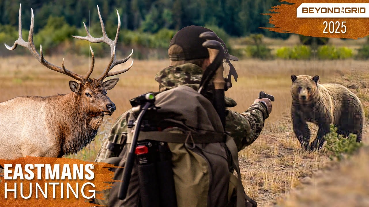A Grizzly Charged Me! Public Land Elk Hunt | Eastmans' Beyond the Grid