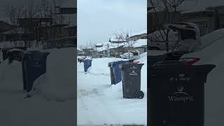 Systematic Garbage Collection - #Shorts