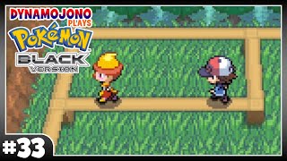 The Raised Walkways Of Route 7 | Pokémon Black (#33)