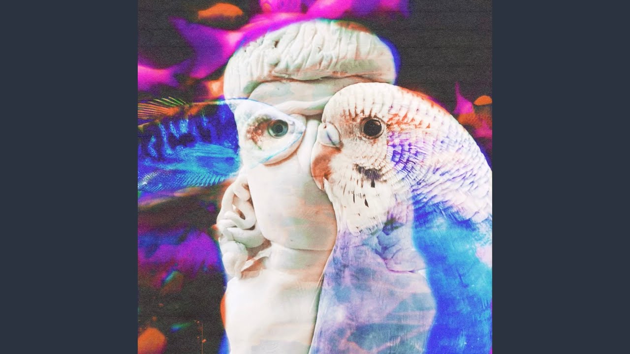 Ver Optimism en YouTube Ver Optimism en YouTube