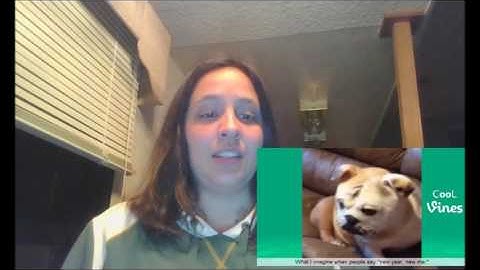 Try Not To Laugh Challenge-Funny Cat & Dog Vines compilation 2017  (Reaction)