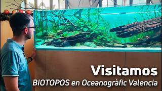 Exploramos los Biotopos de Agua Dulce del Oceanogràfic Valencia Junto a su Creador🌿