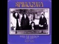 Spirogyra- The Forest Of Dean.wmv