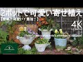 パンジー&ビオラ/簡単!2ポットで作る 可愛い小さな寄せ植え【秋のガーデニング】-フローラ黒田園芸- mixed planting/ Autumn gardening 4K ULTRA HD