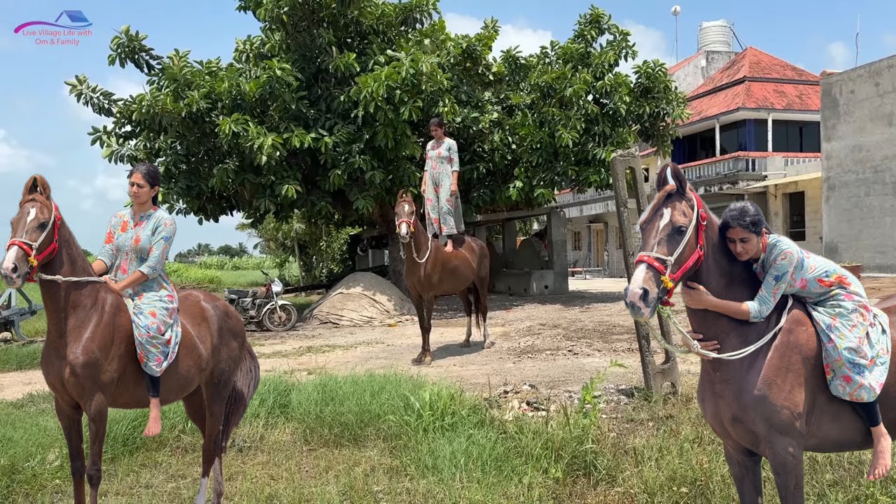 Toral ki riding  or papa ke liye new phone 