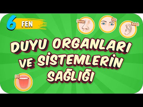 6. Sınıf Fen: Duyu Organları ve Sistemlerin Sağlığı #2022