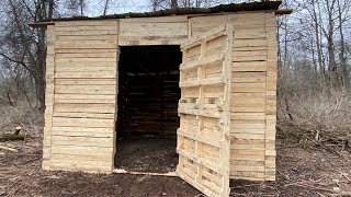 Cabin/Shed Built With Pallet Wood On Off Grid Land! DIY