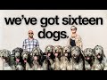 Inside The Life Of The World S Biggest Dog Family Inside The Life Of The World S Biggest Dog Family