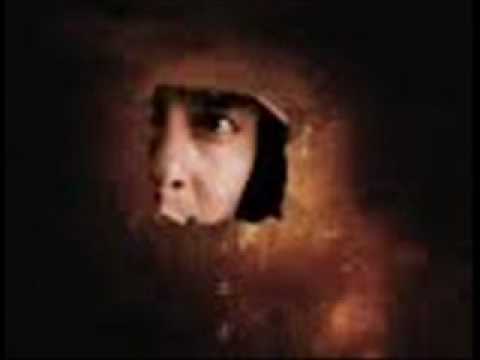     محمد محي زمن الكبار