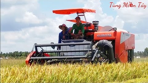 #tùngmiềntây MÁY CẮT LÚA KUBOTA DC93 MỚI MUA MỚI CHÁC ĐEM CHẠY KHAI TRƯƠNG ĐẤT LUNG