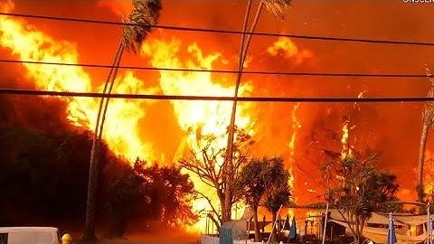 Structures Burn as Palisades Fire Explodes to 1,200+ Acres