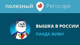 Нужно ли высшее образование в России / Панда Нужно ли высшее образование в России / Панда