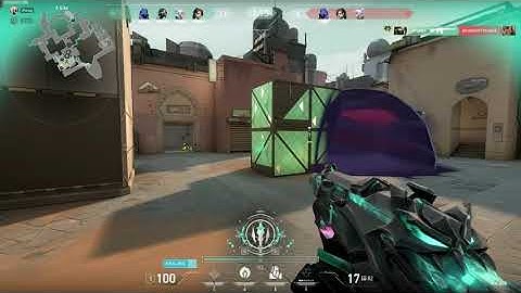 viper ace