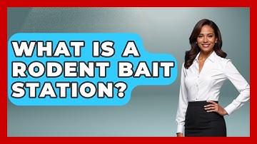 What Is A Rodent Bait Station? - Insects and Invaders