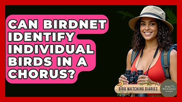 Can BirdNET Identify Individual Birds In A Chorus? - Bird Watching Diaries