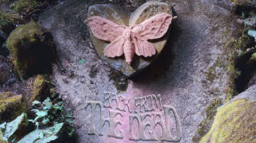 Melanie Martinez - Back From The Dead (Extented by DreamCory)