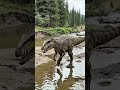 Sinraptor was a large Jurassic predator from northwestern China, known from the Shishugou Form