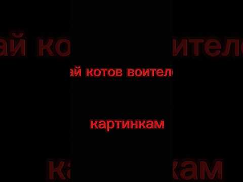угадай котов воителей