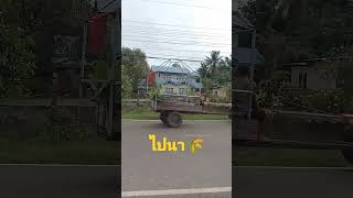 ฝนตกแล้ว?️ไปทำนากัน?