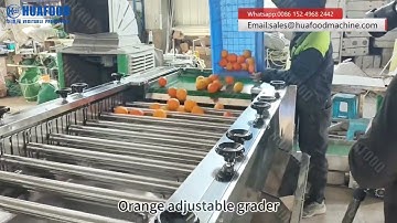 Automatic Orange Grading Machine With Roller Bar