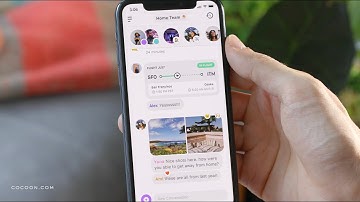 How to Use Cocoon: The Basics