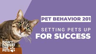 Don't Forget The Pets: Pet Behavior 201 - Setting Pets Up For Success