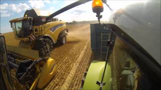 °GOPRO°Moisson d'orge