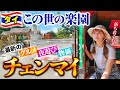 【2025年最新】まだまだ安いぞ！大好きなチェンマイ旅行9日間💕【費用全公開】ドスコイさんとコラボ旅😊
