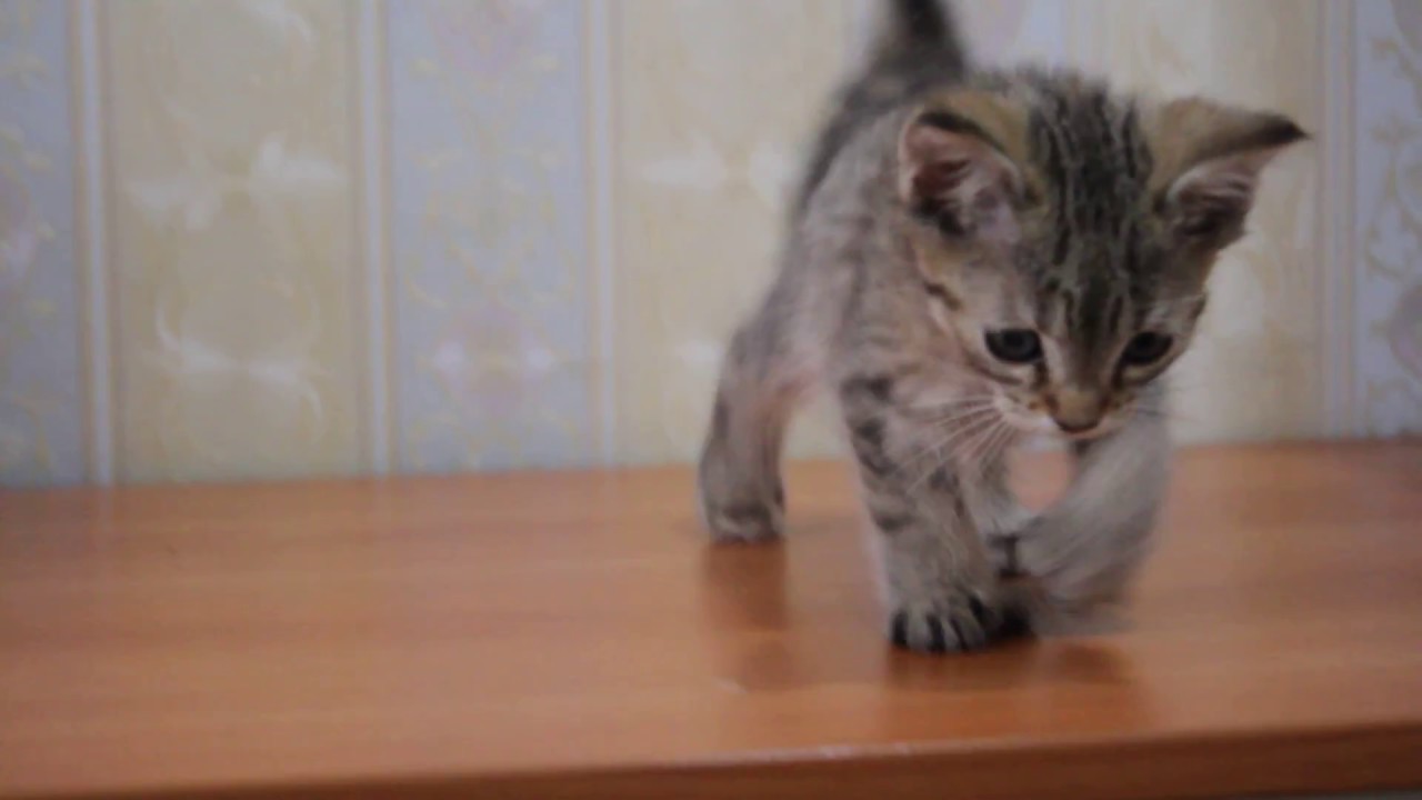 ПРОДАЖА! Смурфетта PixieHouse