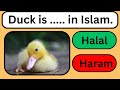 Halal and haram animals in islam part 1 clearquizchannel quiz islamicquiz quizgames