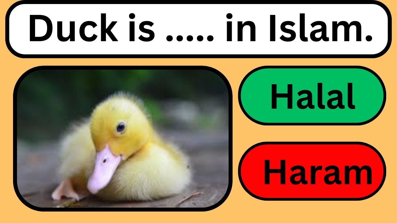 Halal and Haram animals in Islam (part 1) 