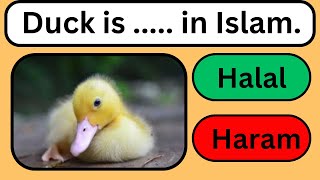 Halal and Haram animals in Islam (part 1) #clearquizchannel #quiz #islamicquiz #quizgames