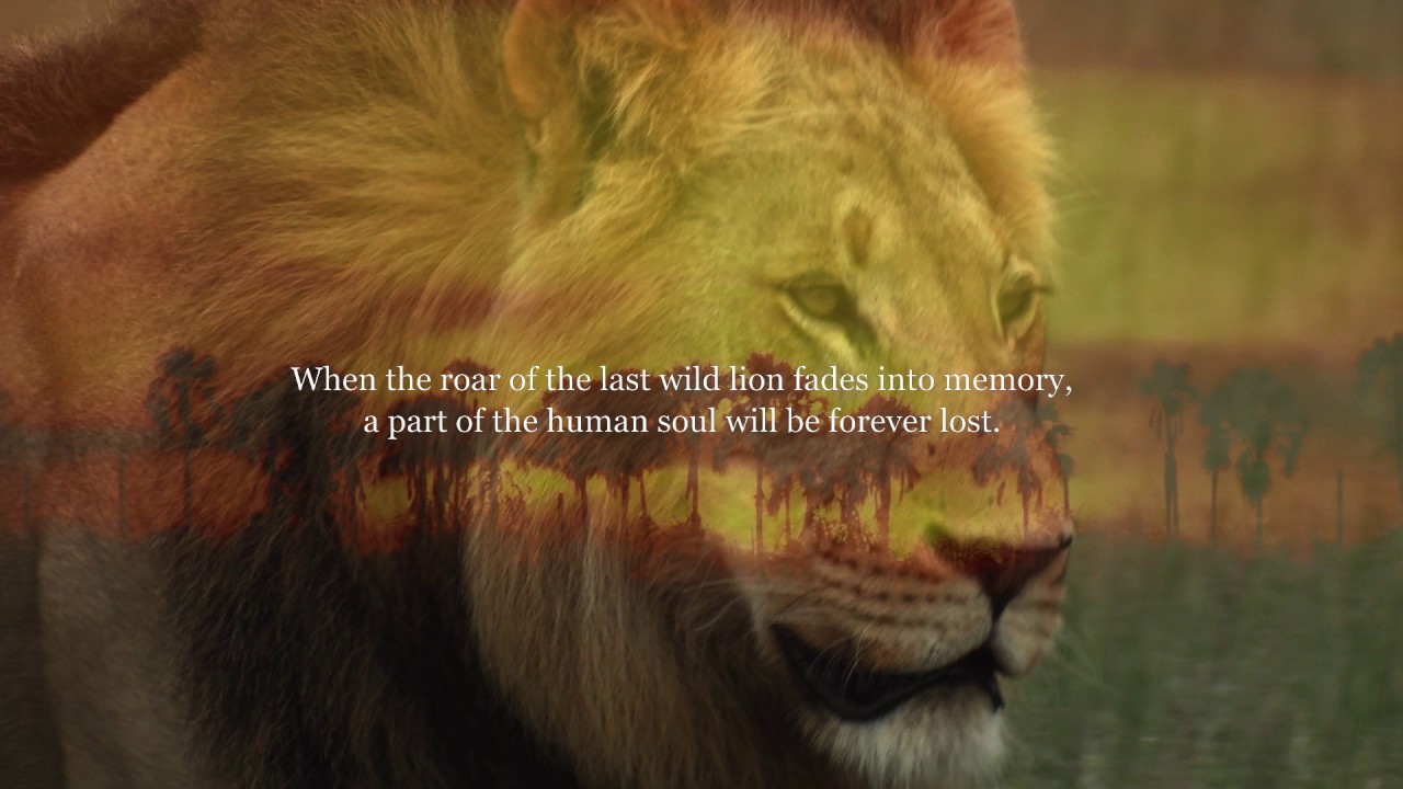 I Am Lion - 2019 WCFF Trailer