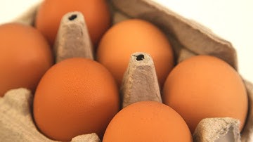 European vs American Egg Treatment