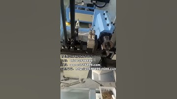 JZ-9.4 Automatic Key Single-head Double-sided Chamfering Machine