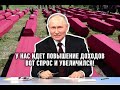 Не хочу выбирать из навязанных сортов навоза! В сортах навоза нет выбора!