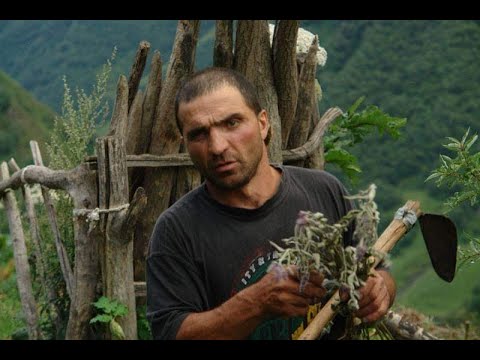 სევდიანი მოლოდინი და თვალებში ნაღველი.(Sevdiani molodini da tvalebshi nagveli)